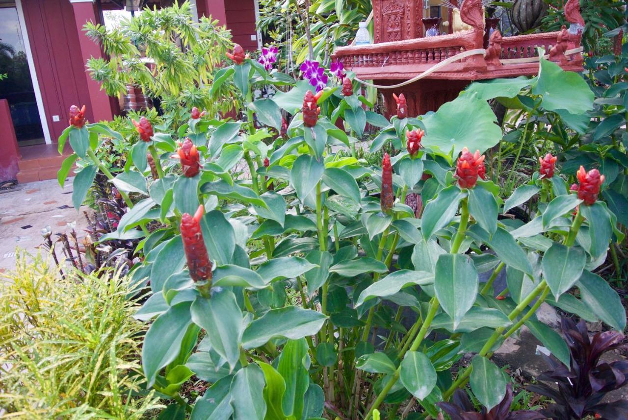 Phoumrumduol Bungalow Kampot Exterior foto
